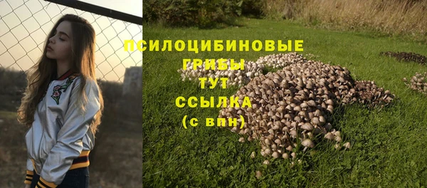 гидра Абдулино