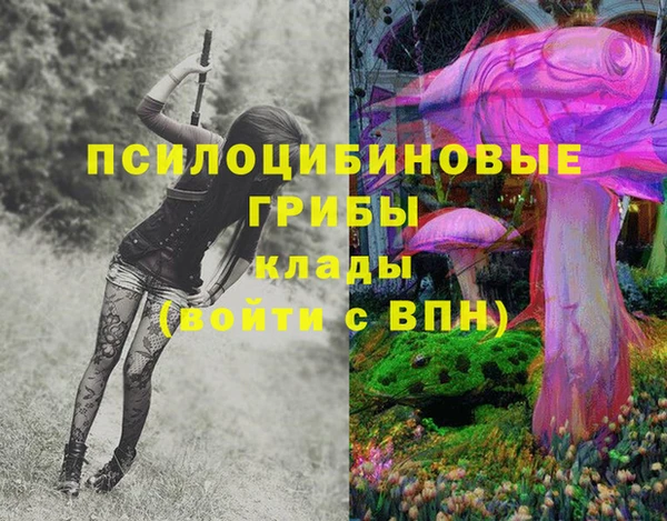 гидра Абдулино